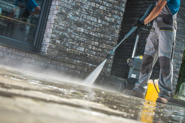 Best Spring Cleaning  in Rockdale, IL