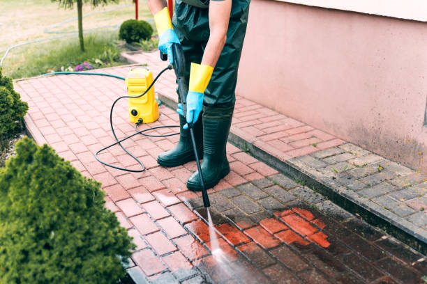 Best Roof Washing  in Rockdale, IL